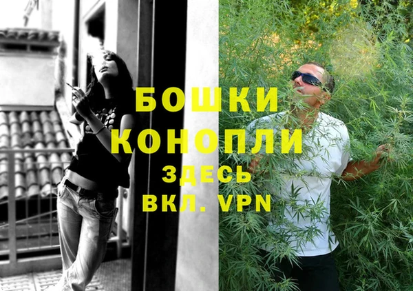каннабис Богданович