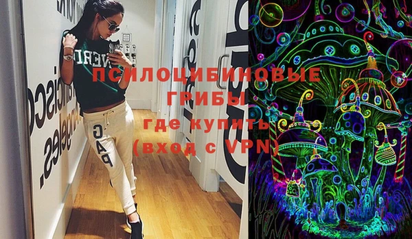 PSILOCYBIN Приозерск
