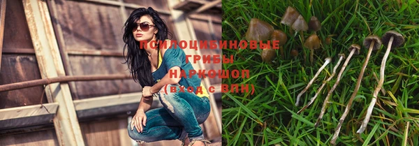 каннабис Богданович