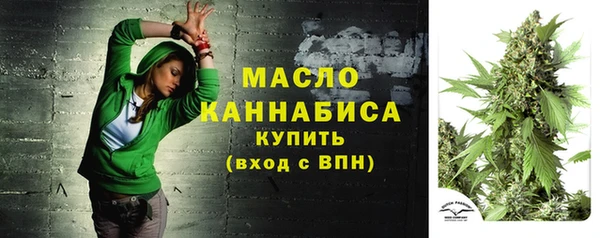 ECSTASY Богородск