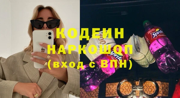 молекула духа Богородицк
