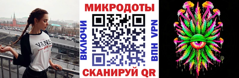Псилоцибиновые грибы Psilocybe  что такое   Кирсанов 