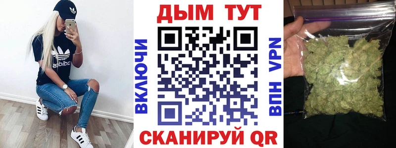 дарнет шоп  Кирсанов  Шишки марихуана VHQ 